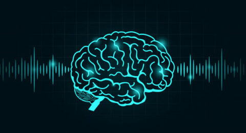 brain-wave-frequency-line-black-graph_72857-102