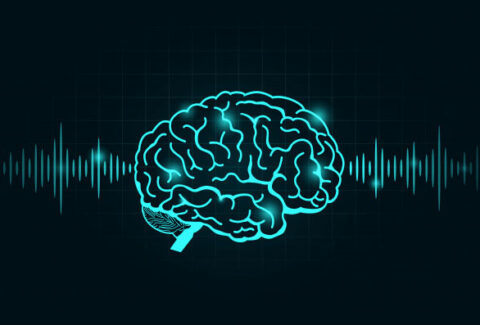 brain-wave-frequency-line-black-graph_72857-102